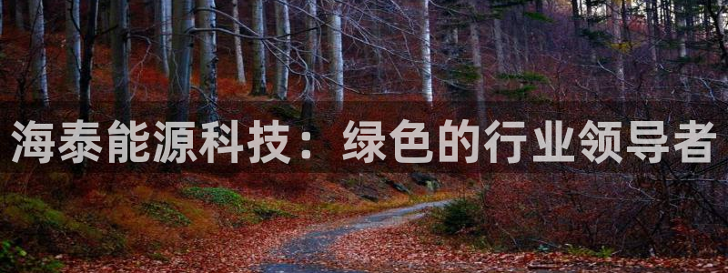 sunbet申搏app下载