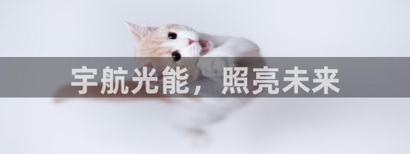 sunbet手机版官网下载