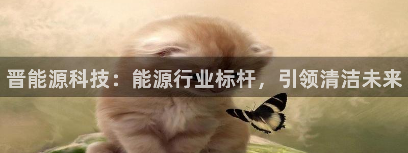 sunbet燃气灶