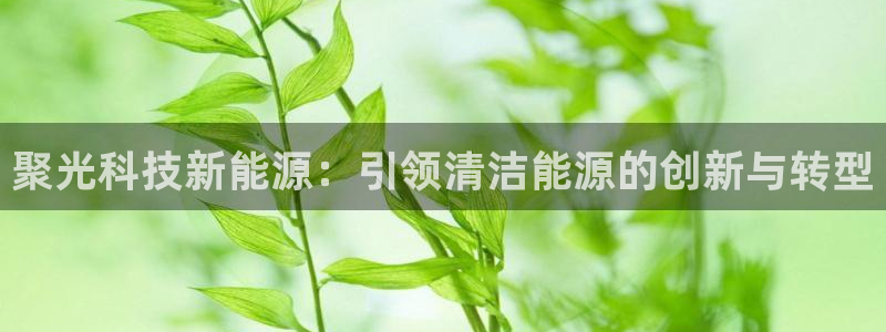 sunbet最新登陆