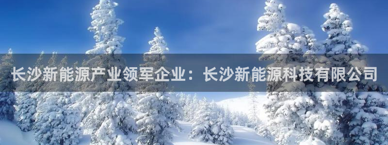 sunbet最新登陆