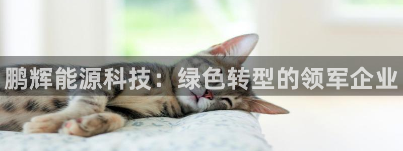 sunbet首页登录入口