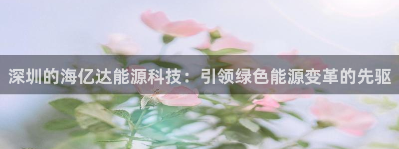 sunbet程序