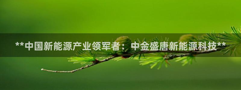 申博官网手机版下载app