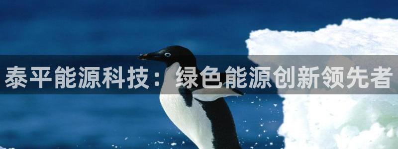 sunbet手机网页版下载