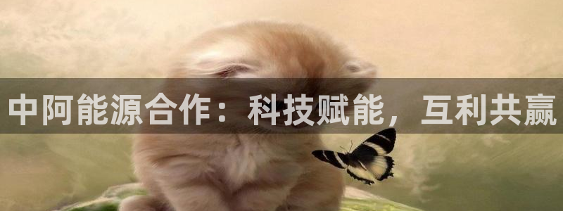sunbet手机app版