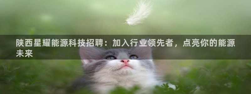 sunbet申搏app下载
