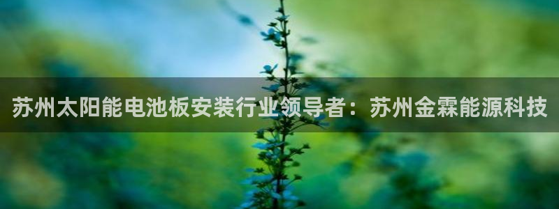 申博官网手机版下载app