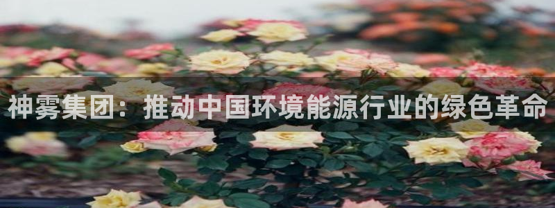 申慱sunbet版app