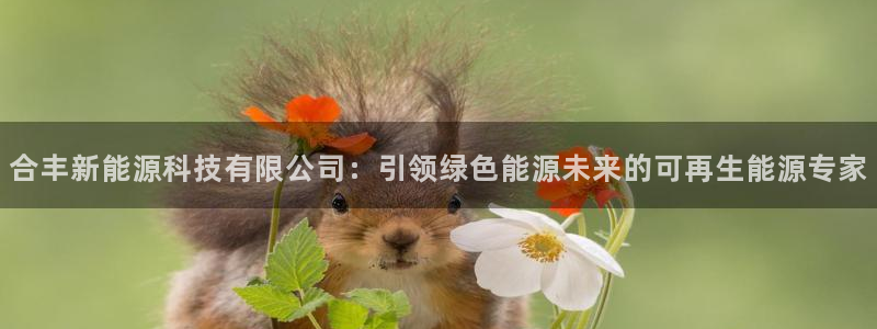 申博官网手机客户端