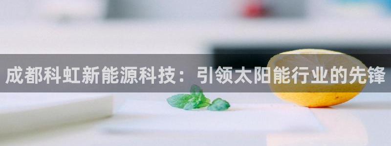 sunbet官网开户登录手机版
