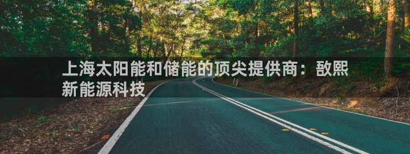 sunbet首页登录入口