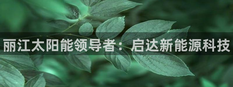 sunbet官网开户登录手机版