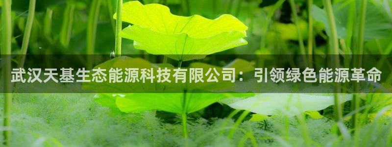 sunbet游戏地址