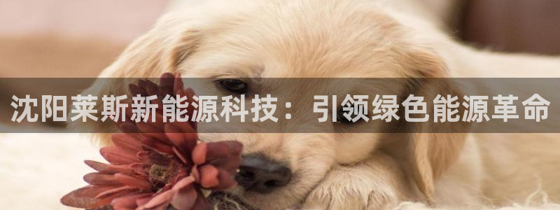 申慱sunbet手机版登
