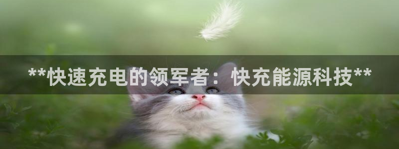 sunbet手机网页版下载