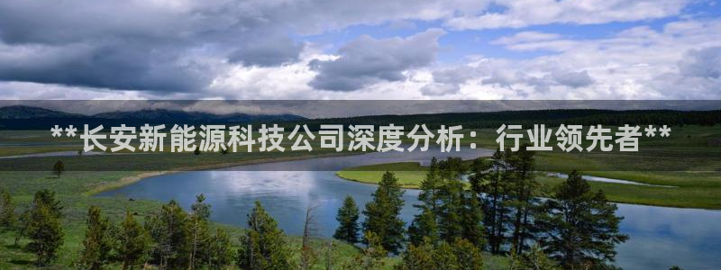 sunbet英语翻译