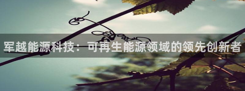 sunbet英语翻译