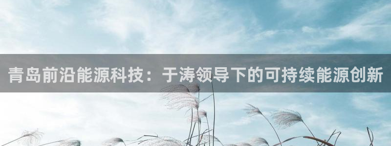 申博官网手机版下载app
