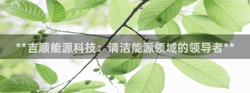 sunbet游戏地址