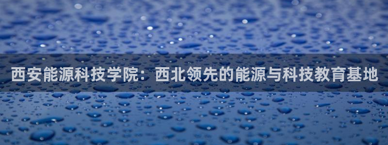 sunbet手机版官网下载