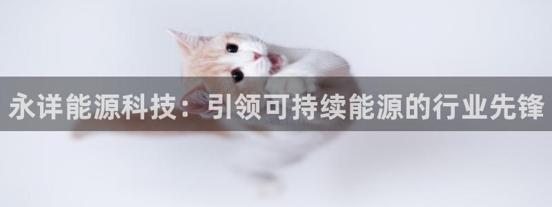 下载申搏sunbet并安装app