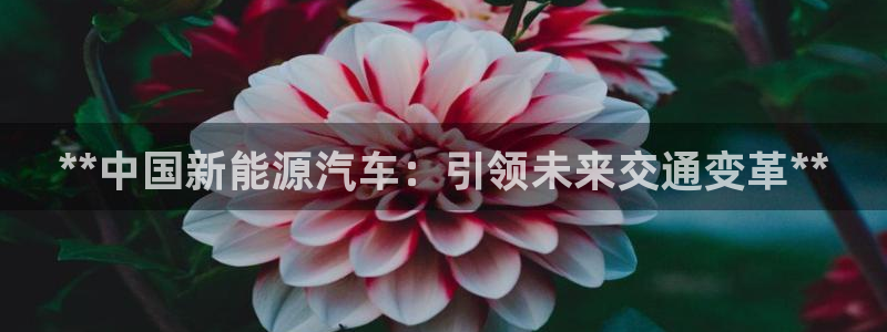 sunbet申搏官方网站