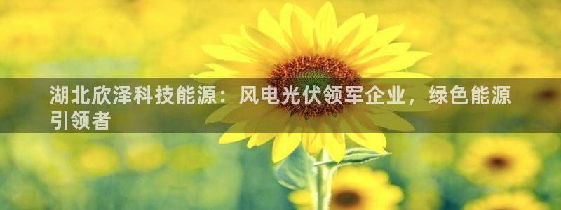 sunbet首页登录入口