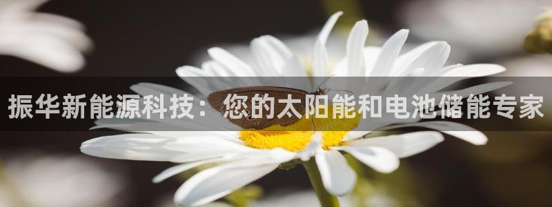 sunbet游戏