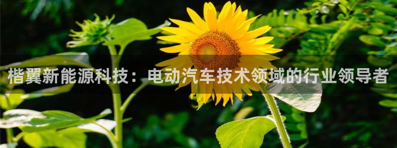 进入sunbet官网手机版登陆
