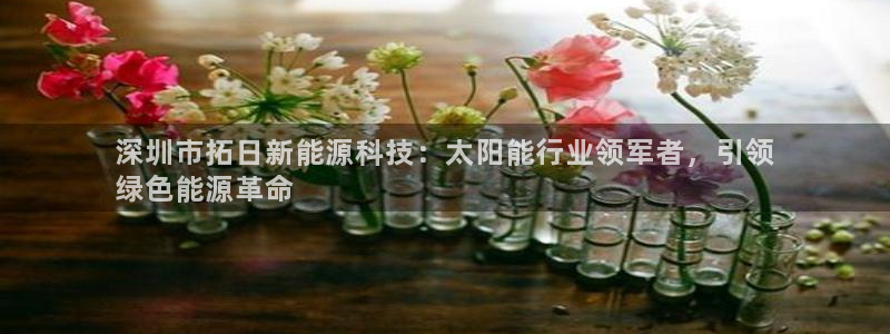 sunbet手机端