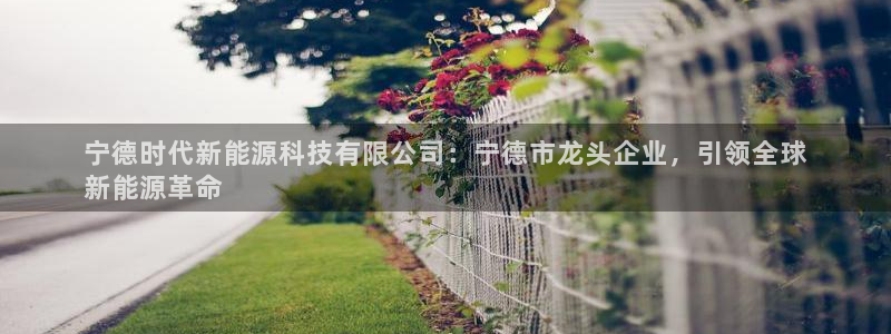 sunbet手机app版
