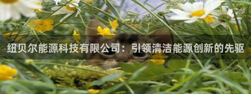 sunbething怎么读
