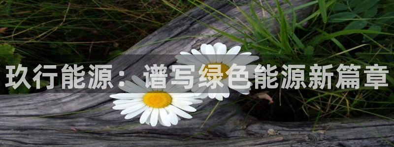 sunbet游戏