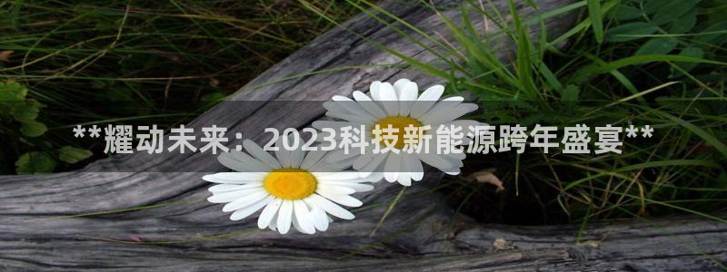 申博手机版官网