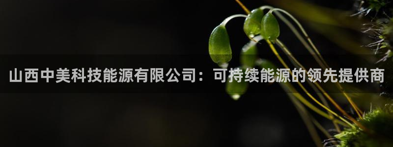 sunbet申搏官方网站