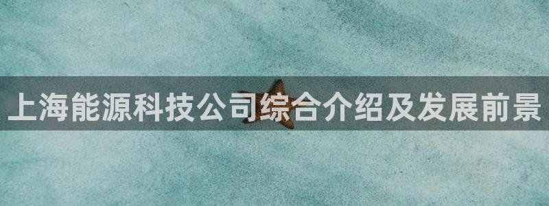 sunbet英语翻译