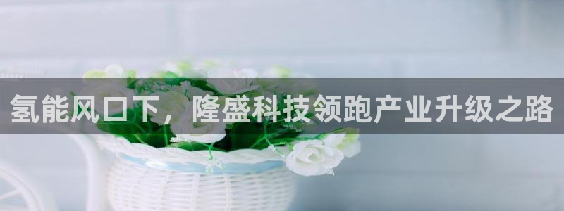 sunbet申搏官网