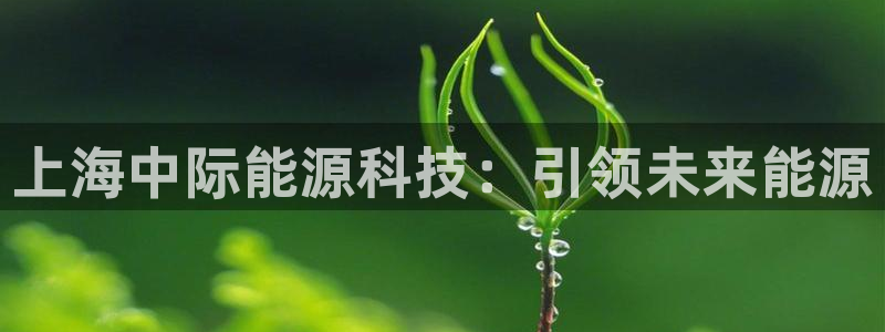 sunbet最新登陆