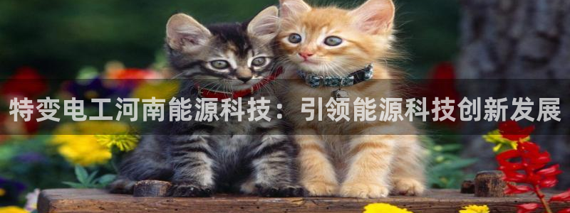 sunbet最新登陆