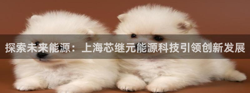 申博手机版官网