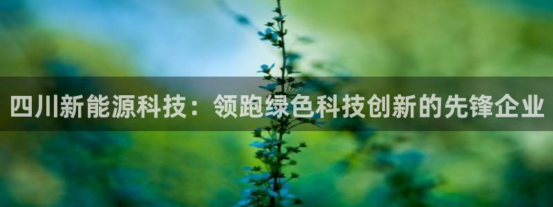 sunbet官网代理下载