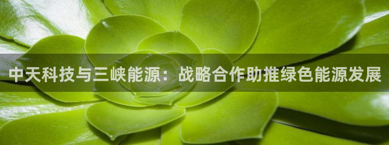 申慱sunbet手机版登