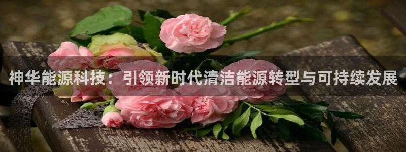 sunbet英语翻译