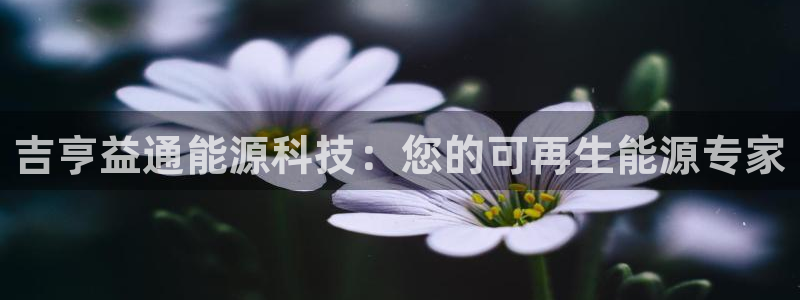 申博官网电脑版下载