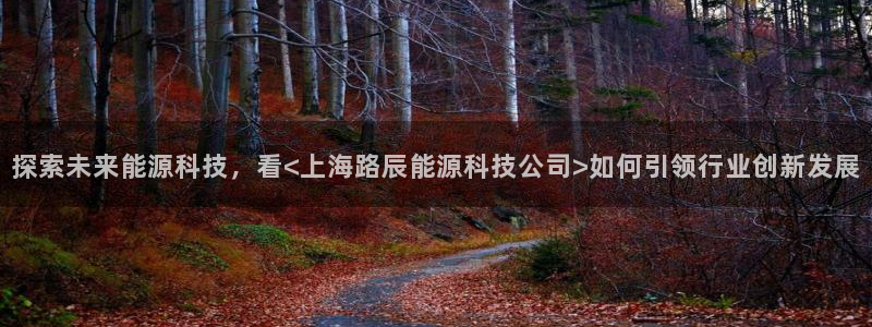 sunbet手机端