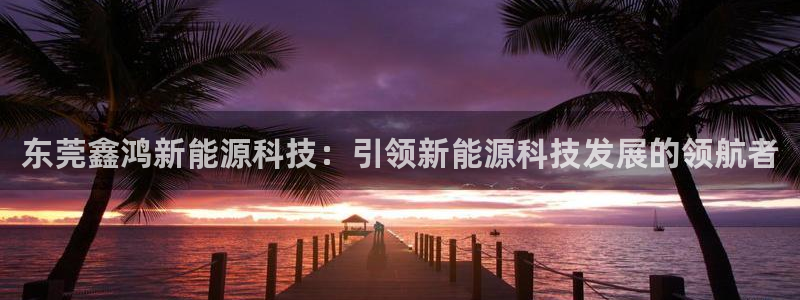 sunbet最新登陆