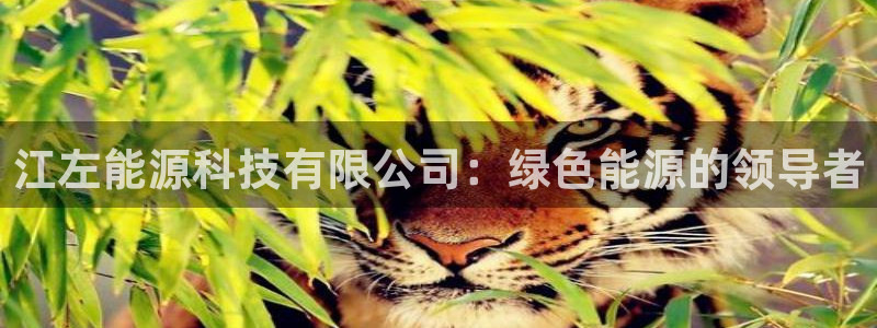 申博手机网址