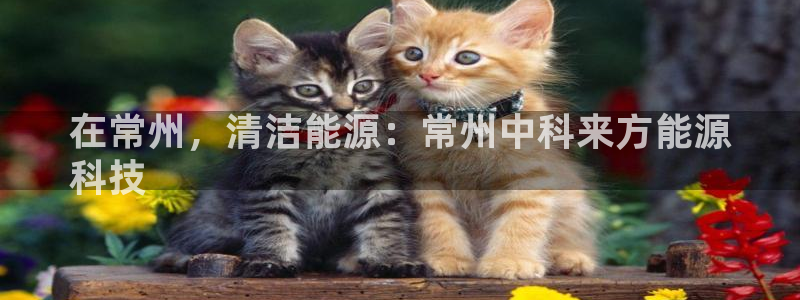申博官网电脑版下载