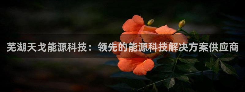 sunbet官网代理下载